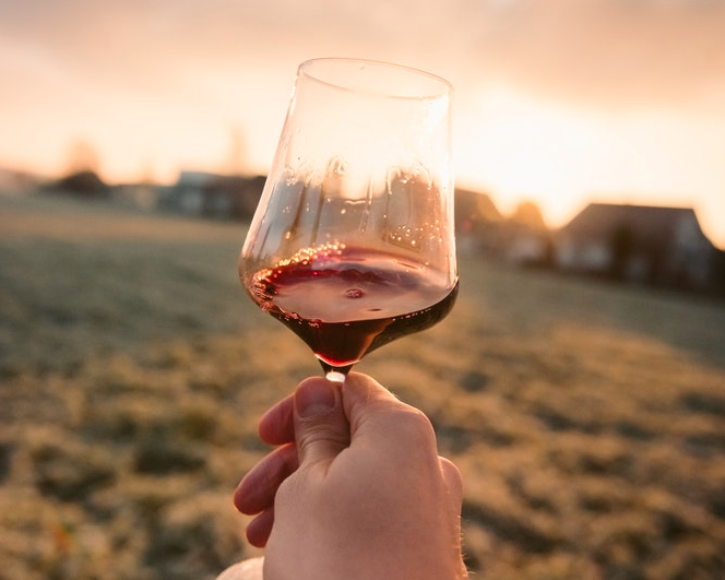 A glass of MINE red wine held up in front of the vineyards at sunset